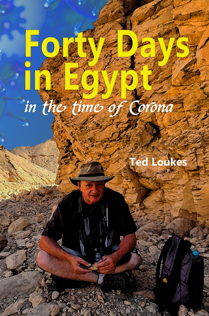 Forty Days in Egypt in the Time of Corona book cover