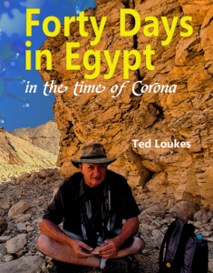 Forty Days in Egypt in the Time of Corona book cover