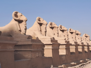 GnT Tours October 2025 Day 7